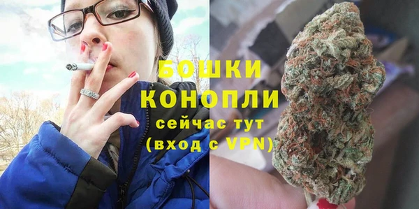 СК Богородск