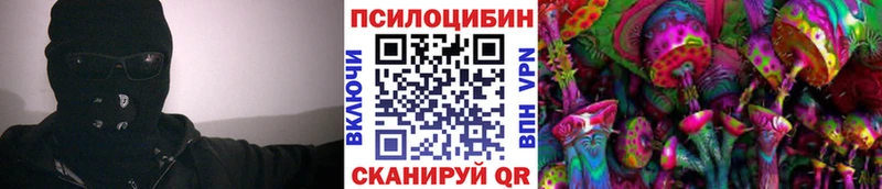 Псилоцибиновые грибы прущие грибы  Междуреченск 
